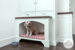 Home Reno Projects for Dogs