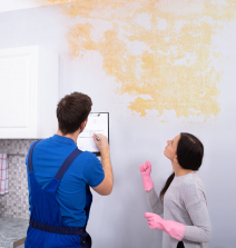 Got Mold? Here’s How to Handle It.